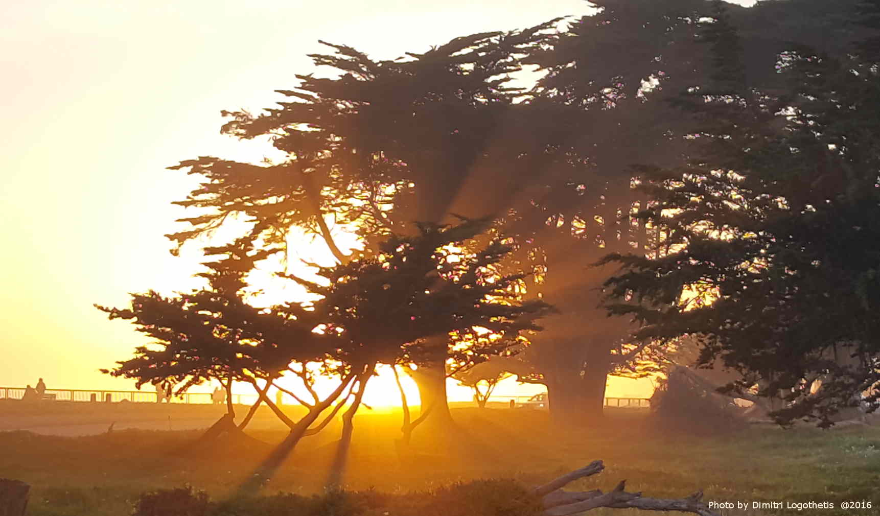 Santa Cruz Westside – Lighthouse Sunset